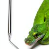 KUIDAMOS Snake Hook Stainless Steel Extendable Reptile-1