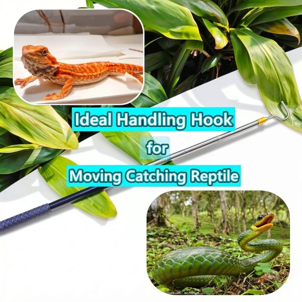 Snake Handling Hook ByteSwift Telescopic Reptile Tool-5