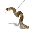 Smarkey Snake Hook Stainless Steel Telescoping Reptile-3