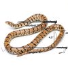 HOMEYA Snake Hook Retractable Aluminum Alloy Reptile Tool-1