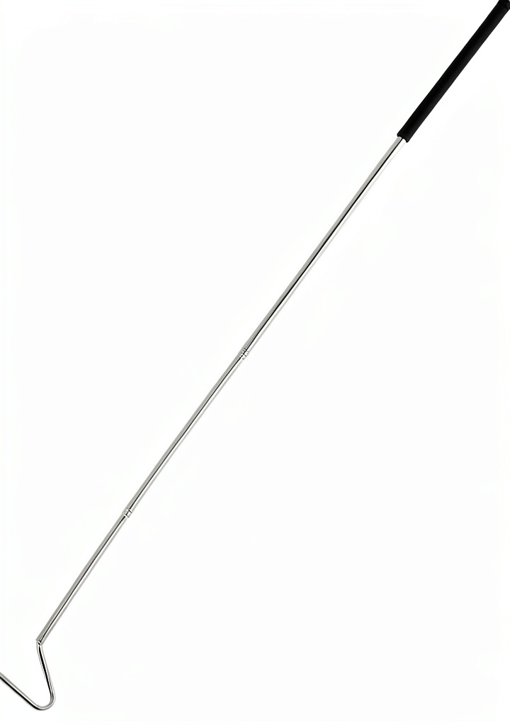 YQQYG snake hook extended for reptile handling