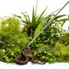 Snake Hook JOCYI Stainless Steel Collapsible Reptile Tool-5