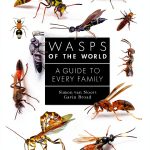 Princeton University Press Entomology Book Insects Spiders-0