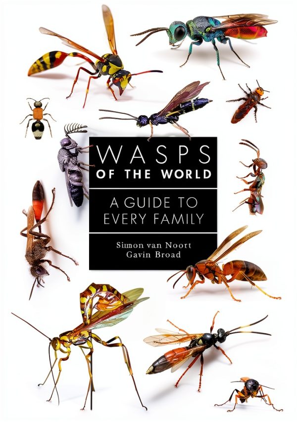 Princeton University Press Entomology Book Insects Spiders-0