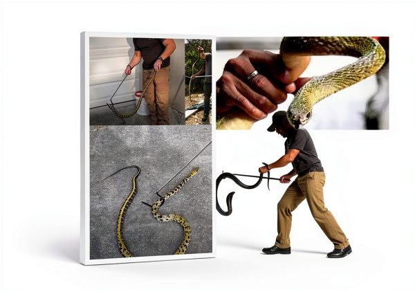 DDP Snake Hook Heavy Duty Stainless Steel Reptile Handler-1