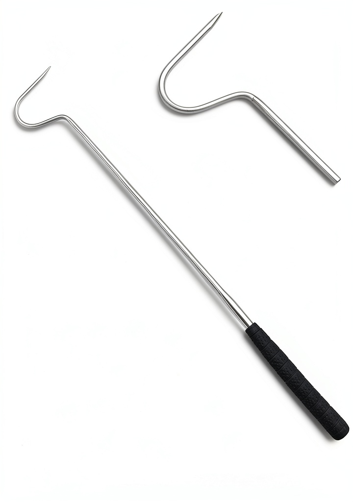 'Using the stainless steel snake hook to handle a reptile safely'