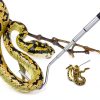 NorthSpoor Snake Hook Stainless Steel Retractable Reptile-3